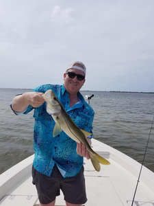 Hooked on the beauty of Snook Crystal River